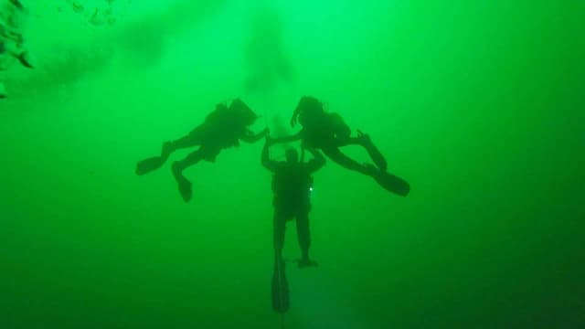 diving under the water